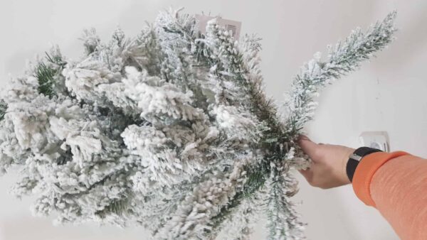 Brad Imperial cu zapada 210 cm