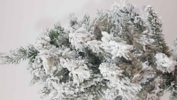 Brad Imperial cu zapada 210 cm