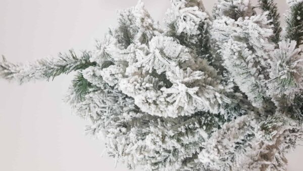 Brad Imperial cu zapada 210 cm