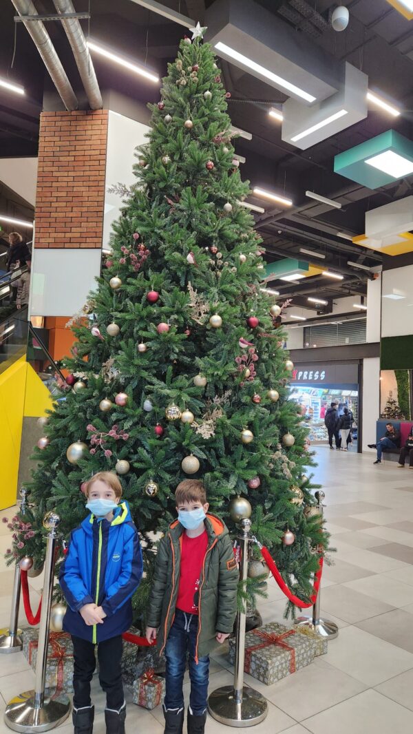 Brad artificial Imperial pachet Platinum 2025