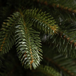 Brad artificial Italian