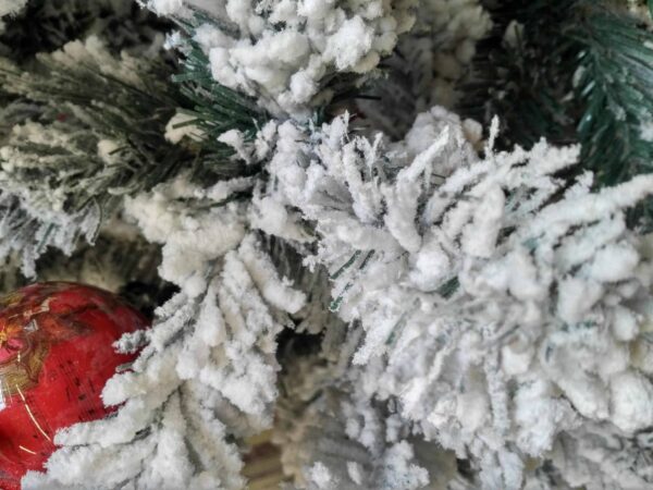 Brad Imperial cu zapada 210 cm