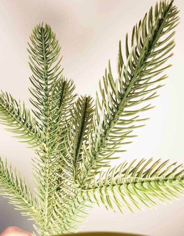 Ghirlanda gold cu conuri