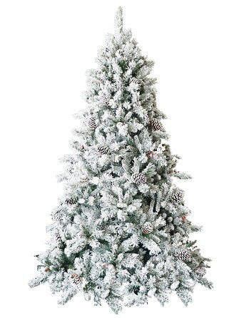 Brad cu Zapada si Conuri 300cm