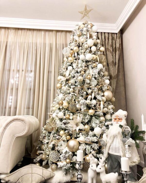 BRAD cu Zapada si Conuri 300 cm, Ace 2D